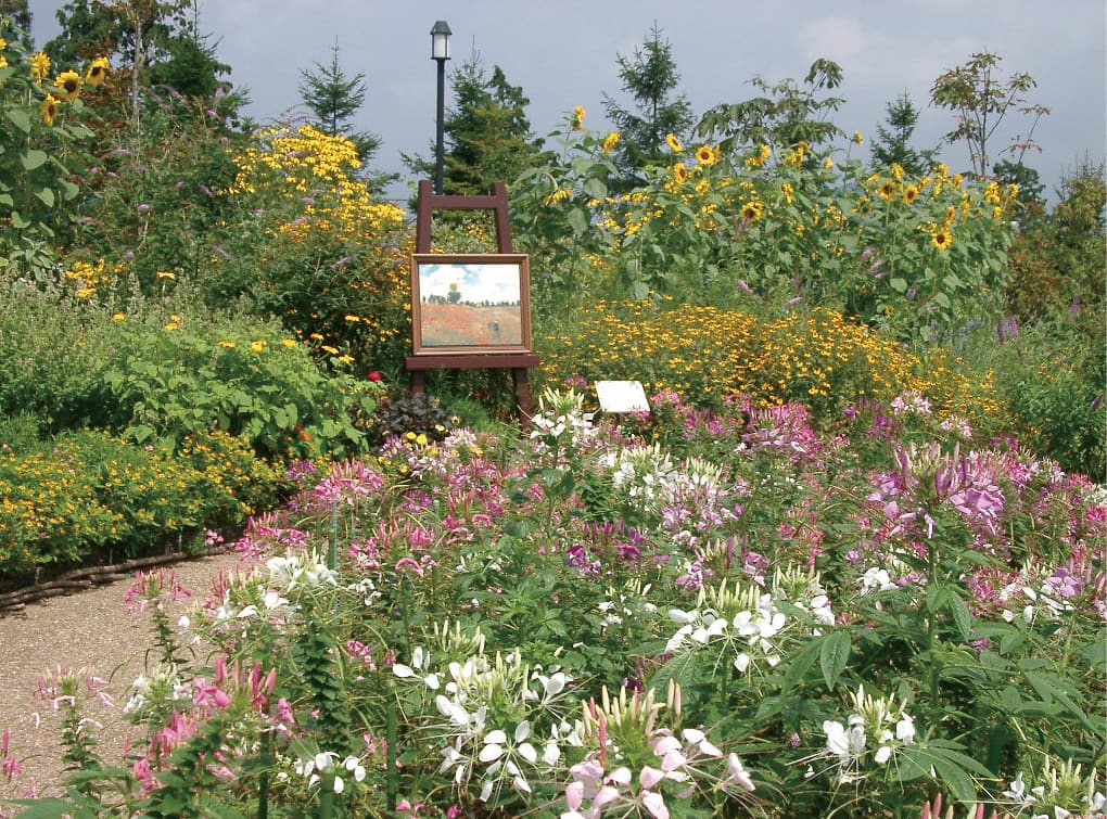 photo：Garden Museum Hiei