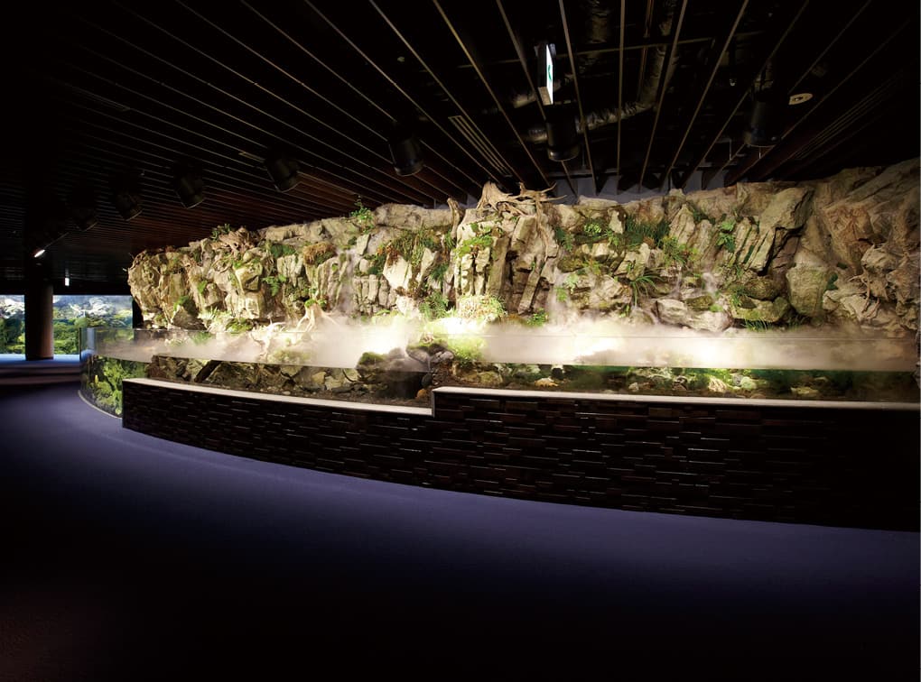 photo:Kyoto Aquarium