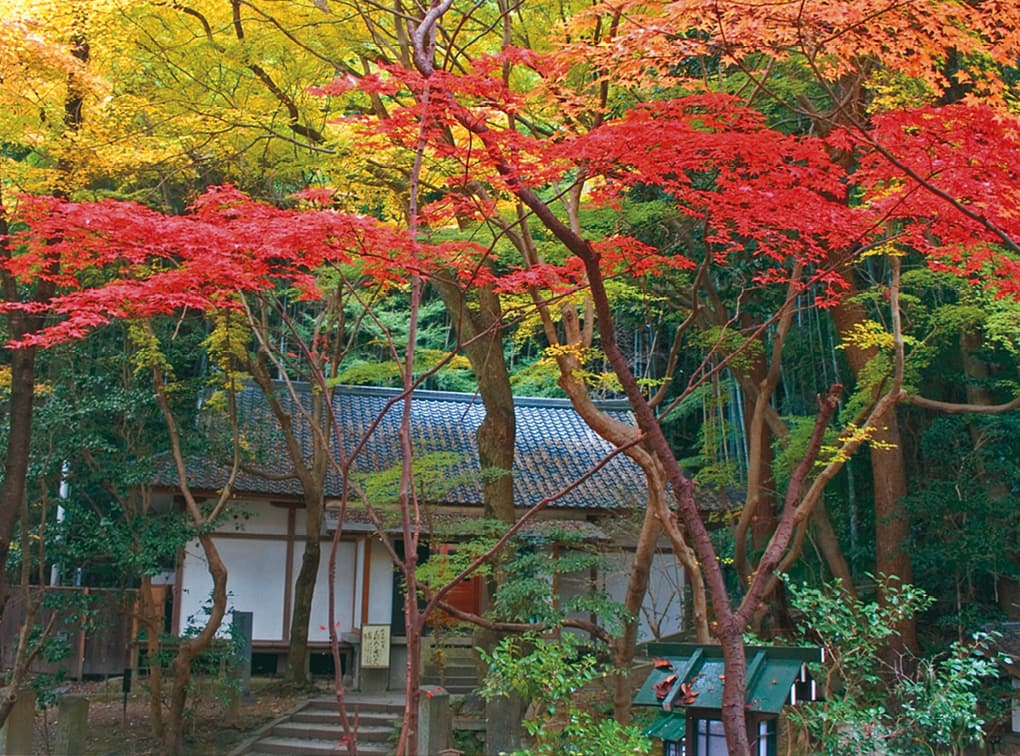 Choraku-ji Temple Repository