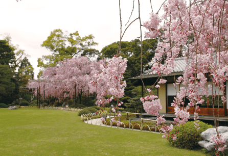 photoMomoyama-no-niwa garden