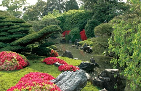 photoMuromachi-no-niwa garden