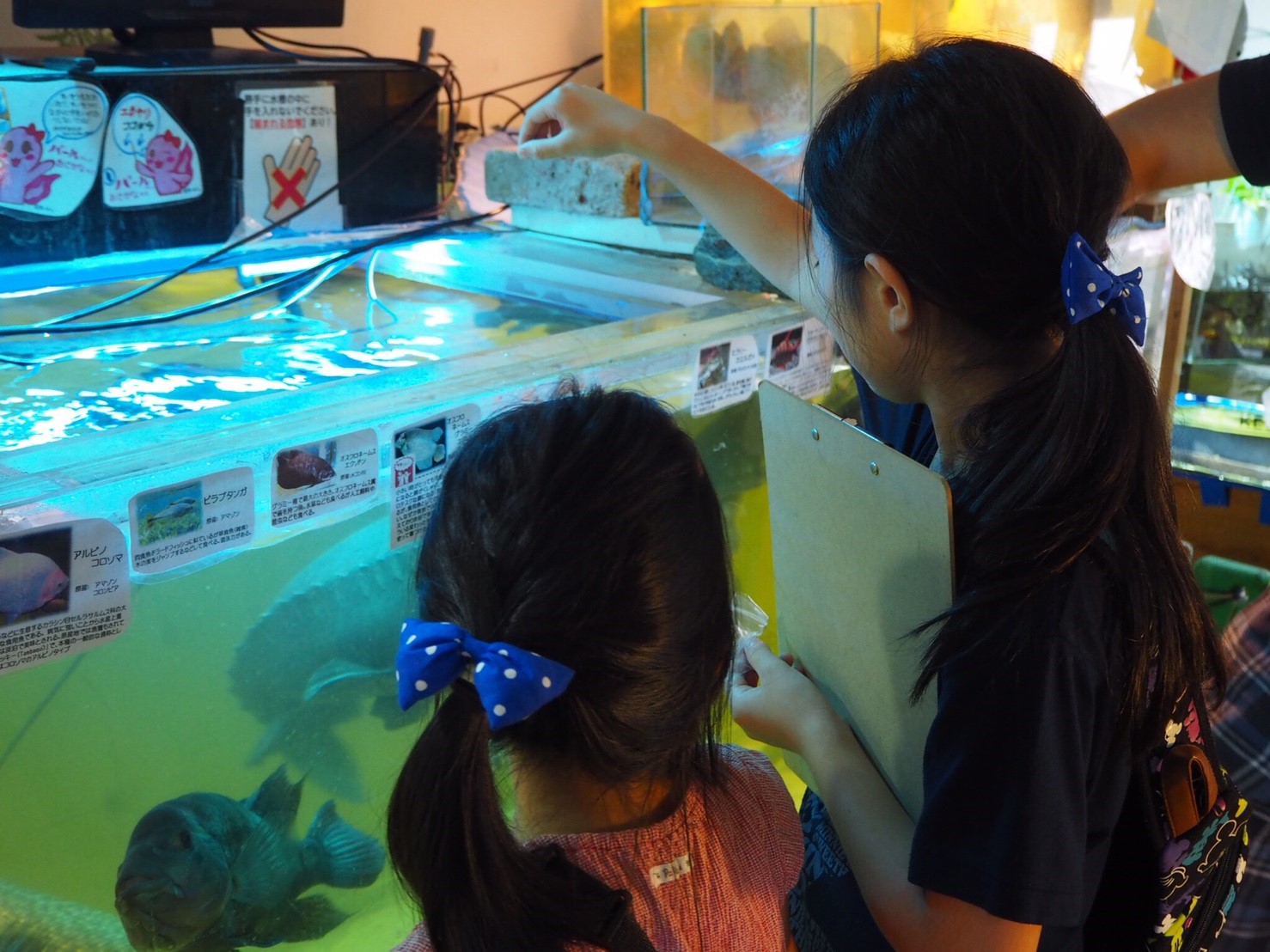 photo:Hanazono Church Aquarium