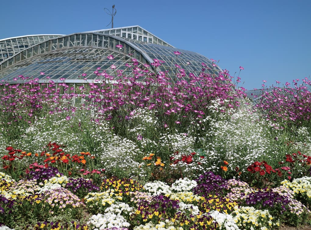 写真：京都府立植物園