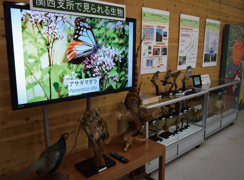 写真：森林総合研究所関西支所　森の展示館