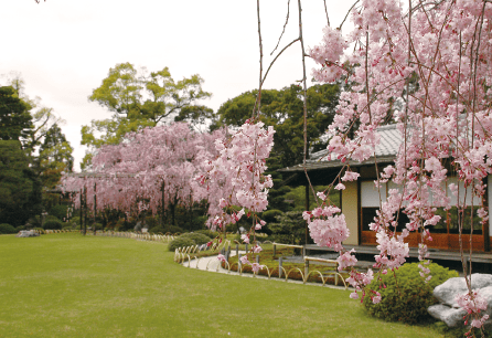 写真桃山の庭